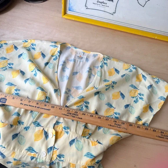 Marine Layre Belted Short Sleeve Mini Dress Lemons - Medium - Picture 8 of 10